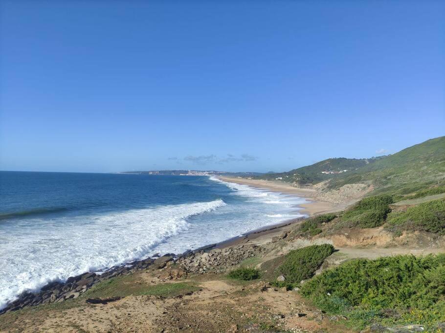 Blue - De Madeira *